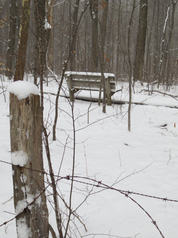 park bench behind barbed wire